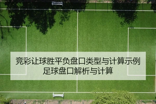 竞彩让球胜平负盘口类型与计算示例 足球盘口解析与计算